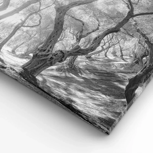 Canvas picture - In an Olive Grove - 160x50 cm