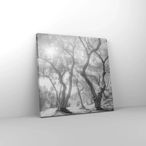Canvas picture - In an Olive Grove - 30x30 cm