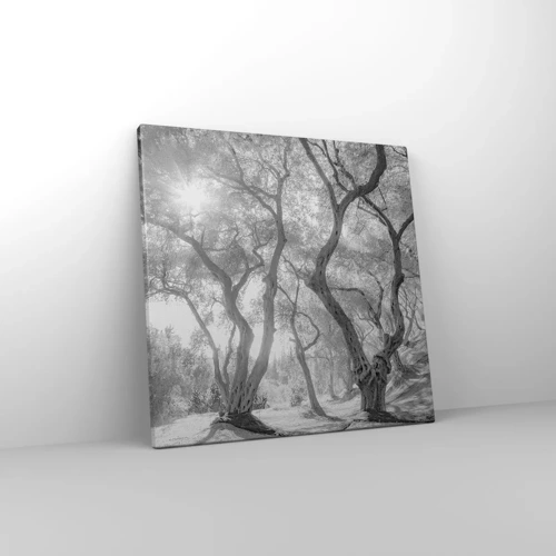 Canvas picture - In an Olive Grove - 40x40 cm