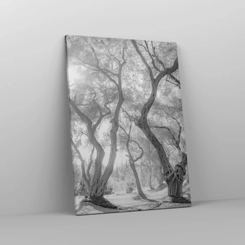 Canvas picture - In an Olive Grove - 50x70 cm