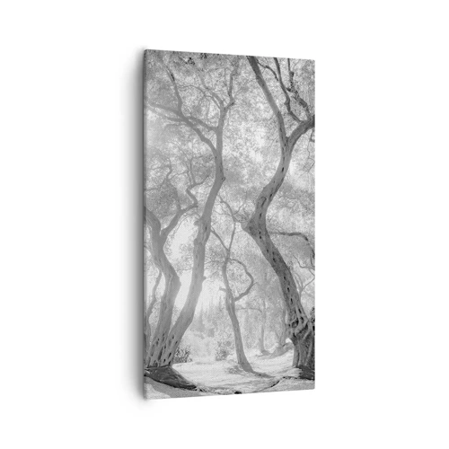 Canvas picture - In an Olive Grove - 55x100 cm