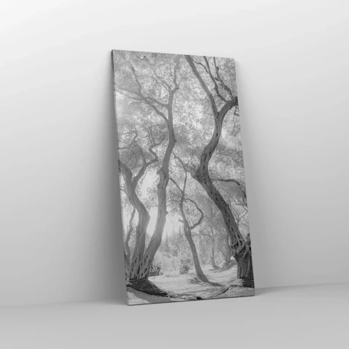 Canvas picture - In an Olive Grove - 55x100 cm