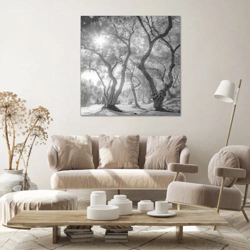 Canvas picture - In an Olive Grove - 60x60 cm