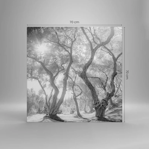 Canvas picture - In an Olive Grove - 70x70 cm