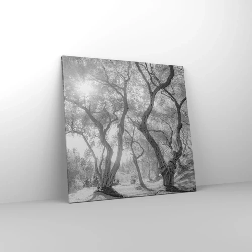 Canvas picture - In an Olive Grove - 70x70 cm