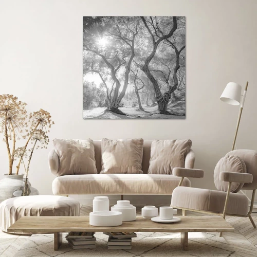 Canvas picture - In an Olive Grove - 70x70 cm