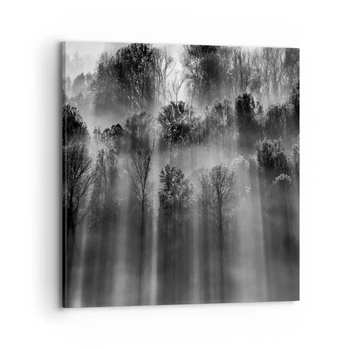 Canvas picture - In the Streams of Light - 70x70 cm
