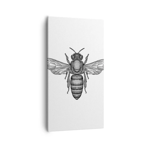 Canvas picture - Insect Portrait - 55x100 cm