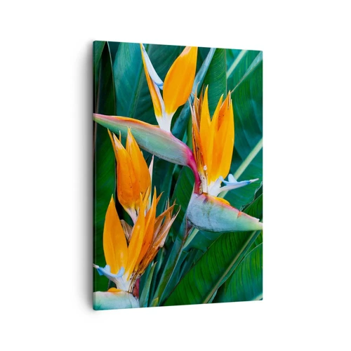 Canvas picture - Is It a Flower or a Bird? - 50x70 cm
