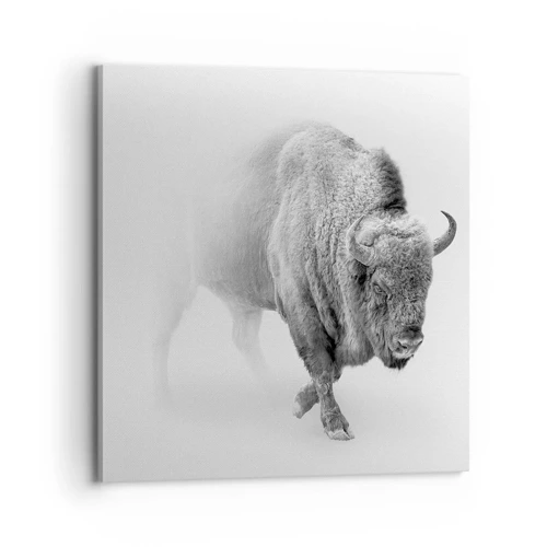 Canvas picture - King of the Prairie - 70x70 cm