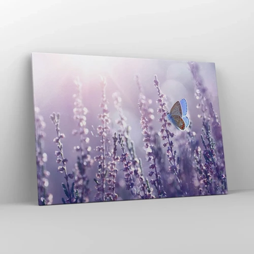 Canvas picture - Kiss of a Butterfly - 100x70 cm