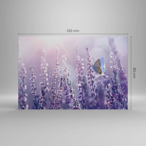 Canvas picture - Kiss of a Butterfly - 120x80 cm