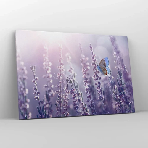 Canvas picture - Kiss of a Butterfly - 120x80 cm