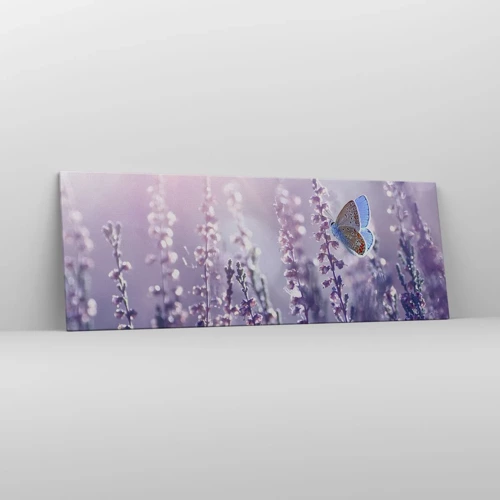 Canvas picture - Kiss of a Butterfly - 140x50 cm