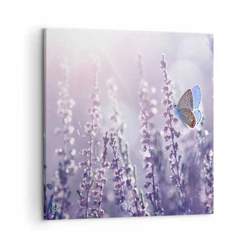 Canvas picture - Kiss of a Butterfly - 50x50 cm