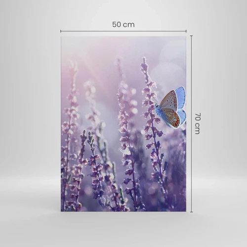 Canvas picture - Kiss of a Butterfly - 50x70 cm