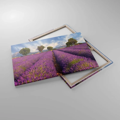 Canvas picture - Lavender Fields - 120x80 cm