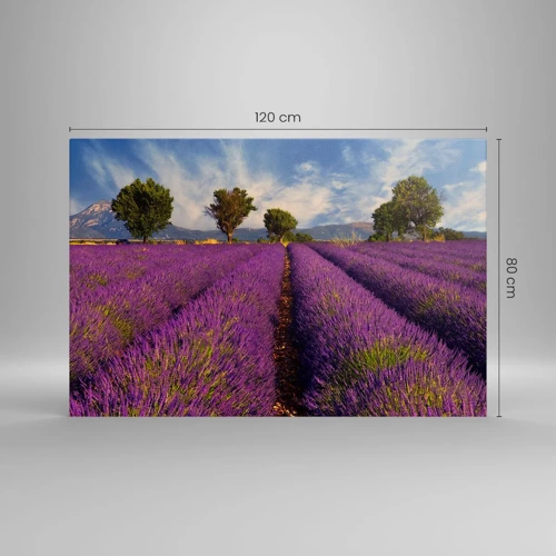 Canvas picture - Lavender Fields - 120x80 cm