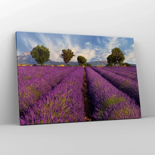 Canvas picture - Lavender Fields - 120x80 cm