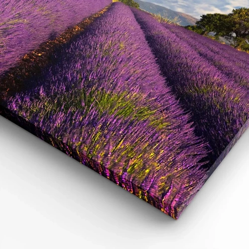 Canvas picture - Lavender Fields - 120x80 cm