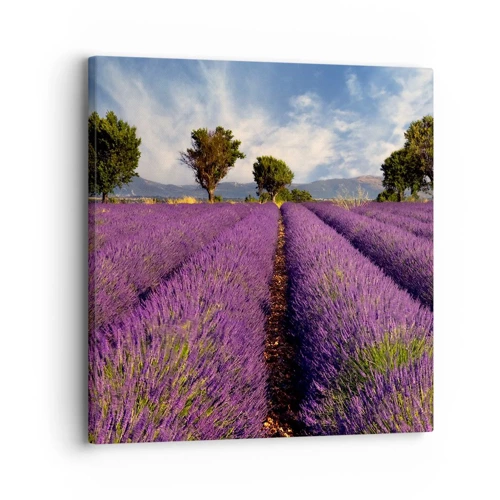 Canvas picture - Lavender Fields - 30x30 cm