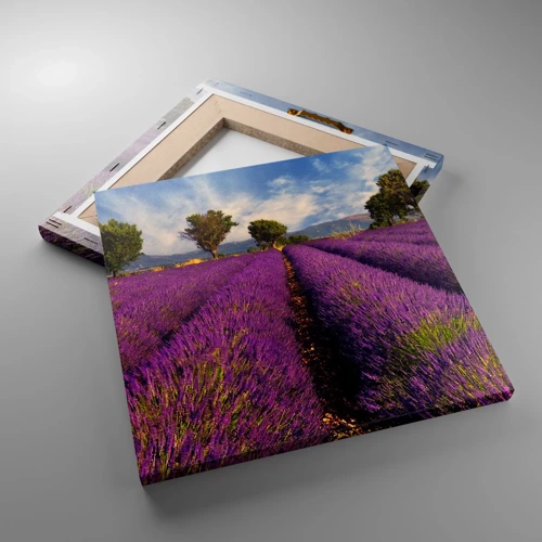 Canvas picture - Lavender Fields - 30x30 cm