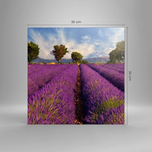 Canvas picture - Lavender Fields - 30x30 cm