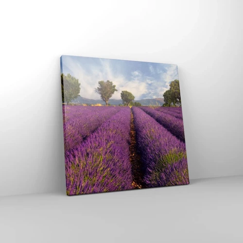 Canvas picture - Lavender Fields - 30x30 cm