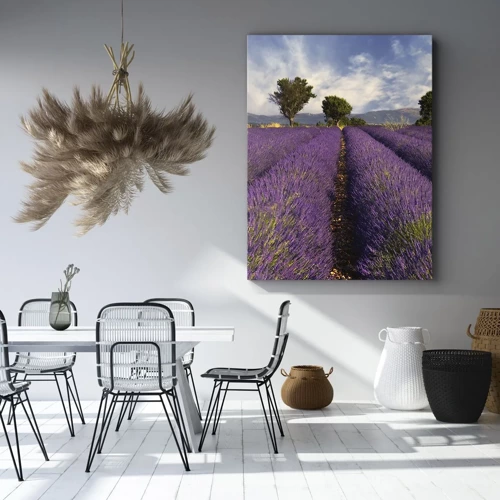 Canvas picture - Lavender Fields - 50x70 cm