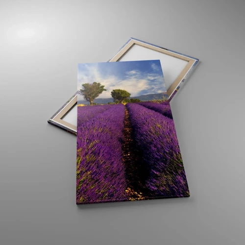 Canvas picture - Lavender Fields - 65x120 cm