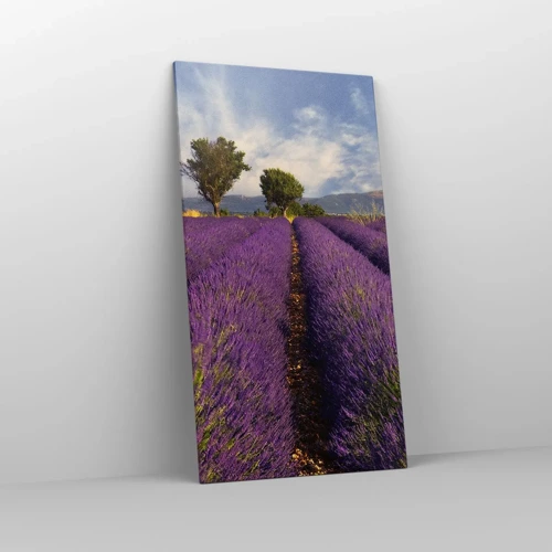 Canvas picture - Lavender Fields - 65x120 cm