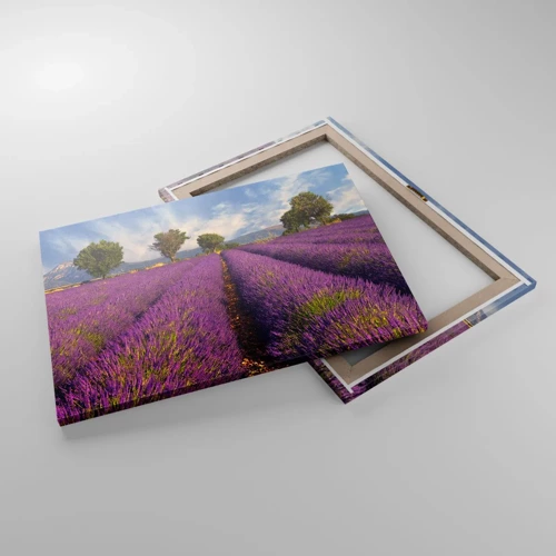 Canvas picture - Lavender Fields - 70x50 cm