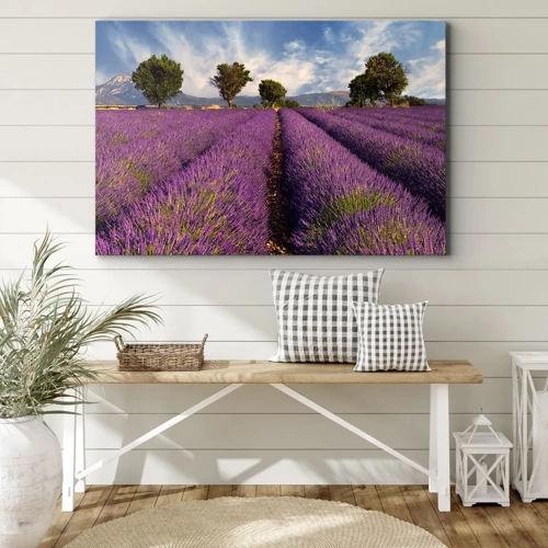 Canvas picture - Lavender Fields - 70x50 cm