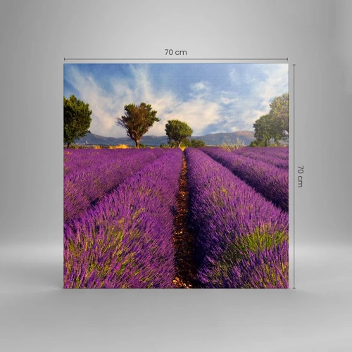 Canvas picture - Lavender Fields - 70x70 cm