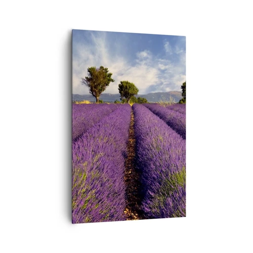 Canvas picture - Lavender Fields - 80x120 cm