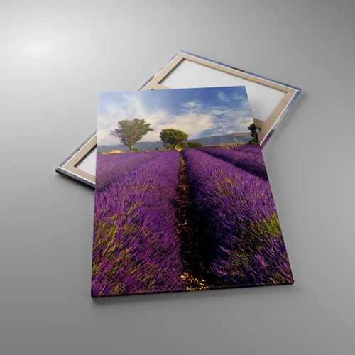 Canvas picture - Lavender Fields - 80x120 cm