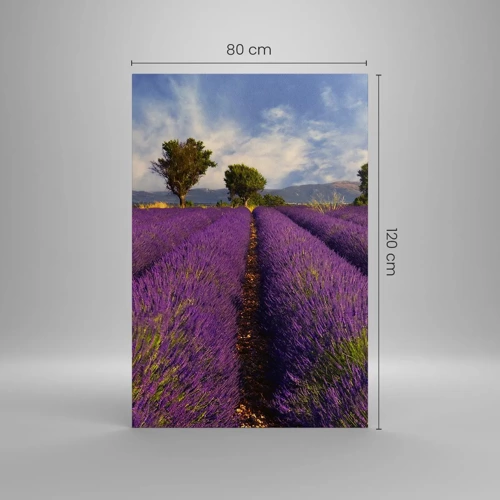 Canvas picture - Lavender Fields - 80x120 cm