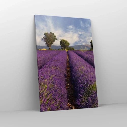 Canvas picture - Lavender Fields - 80x120 cm