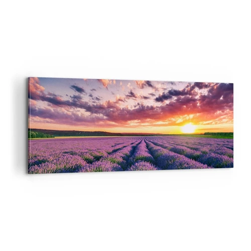 Canvas picture - Lavender World - 100x40 cm