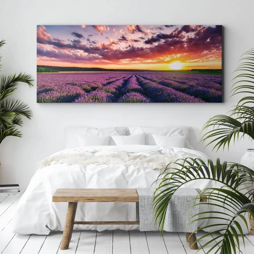 Canvas picture - Lavender World - 120x50 cm