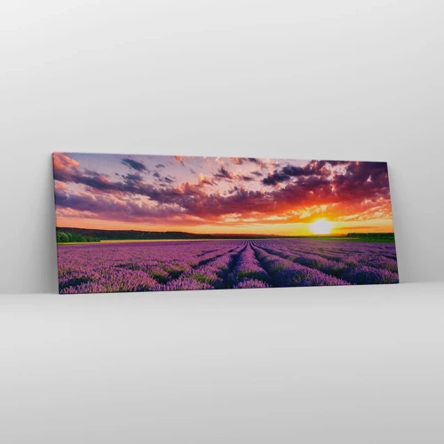Canvas picture - Lavender World - 140x50 cm