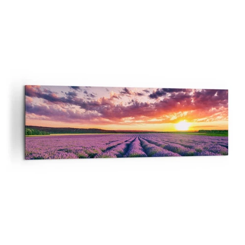 Canvas picture - Lavender World - 160x50 cm