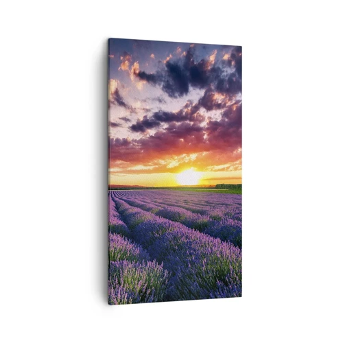 Canvas picture - Lavender World - 45x80 cm