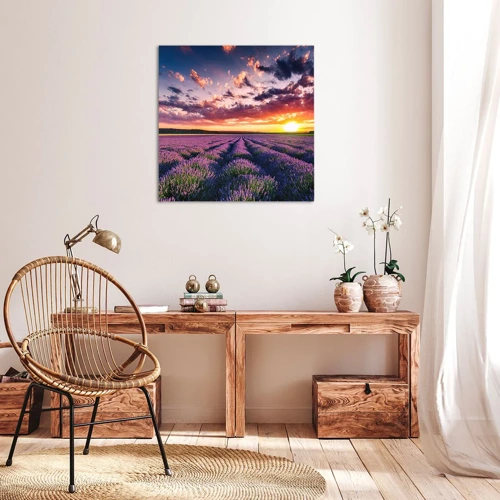 Canvas picture - Lavender World - 50x50 cm
