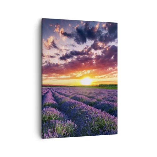 Canvas picture - Lavender World - 50x70 cm