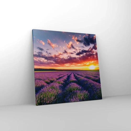 Canvas picture - Lavender World - 60x60 cm