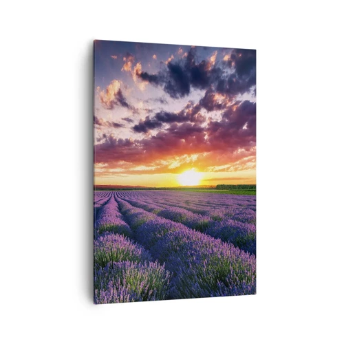 Canvas picture - Lavender World - 70x100 cm