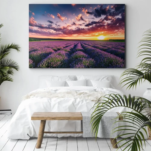 Canvas picture - Lavender World - 70x50 cm