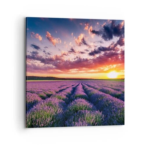 Canvas picture - Lavender World - 70x70 cm