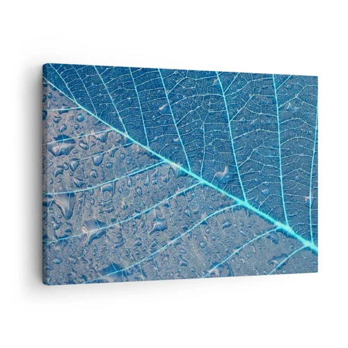 Canvas picture - Life in the Blue - 70x50 cm